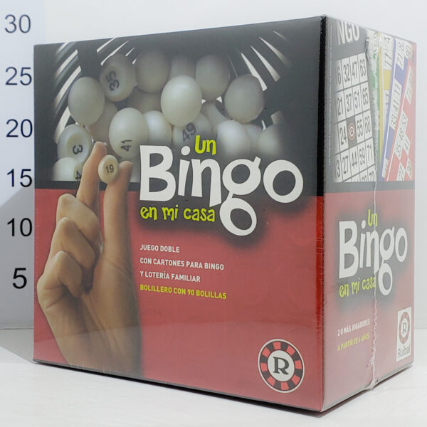 Un Bingo En Mi Casa
