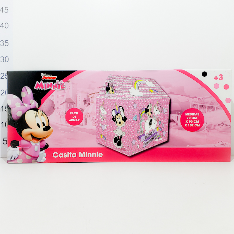 Casita minnie 2025