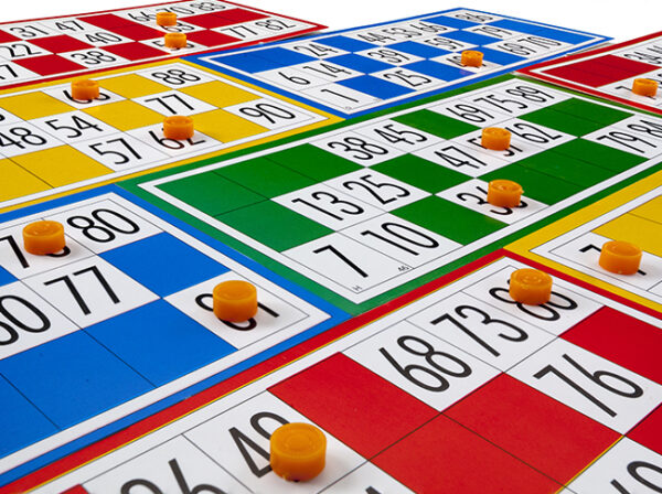 Un Bingo En Mi Casa - Imagen 4