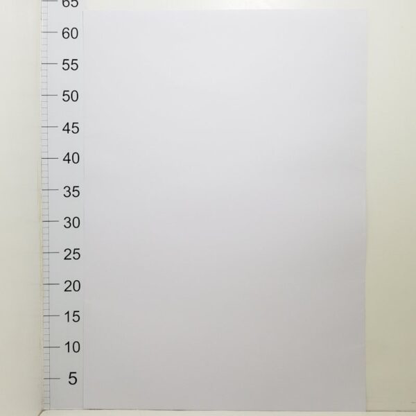 Cartulina 44,5cm X 63cm Blanca