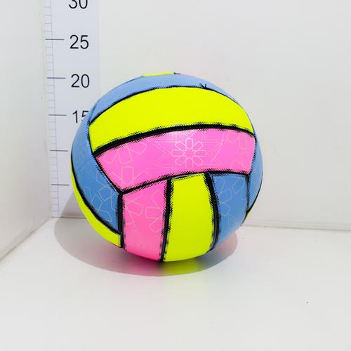 Pelota Voley N°5