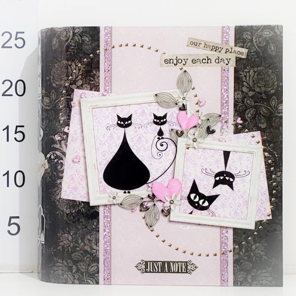 Carpeta Carton 3 Ganchos Gato