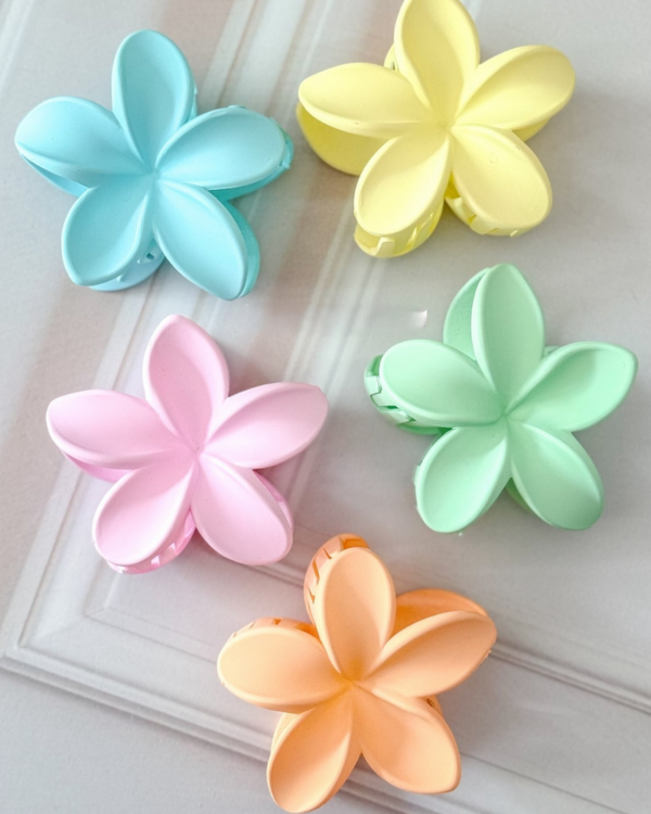 BROCHE PELO x6