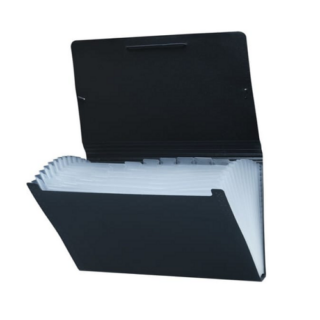 CARPETA CLASIFICADOR 12 DIVISIONES