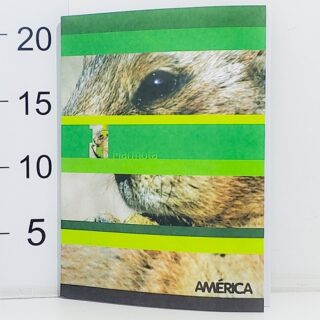 Cuaderno t/flexible america-maraton 48hoja LISO