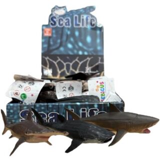 Animales Marinos x unidad