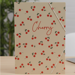 Carpeta 3 solapas c/elast fantasia ONIX