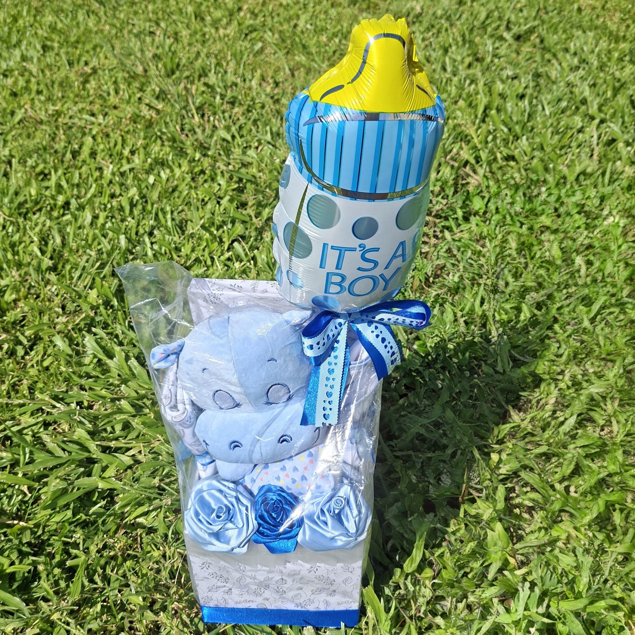 Box de nacimiento Oso Sonido