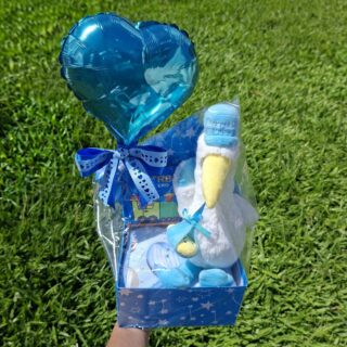 Set de nacimiento cigueña