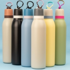 BOTELLA ACERO TERMICO DOBLE PICO 700ML