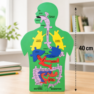 Cuerpo humano goma eva 40cm en bolsa