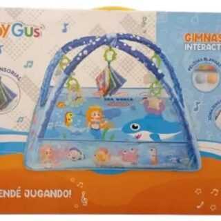 GIMNASIO INTERACTIVO PELOTAS CELESTE